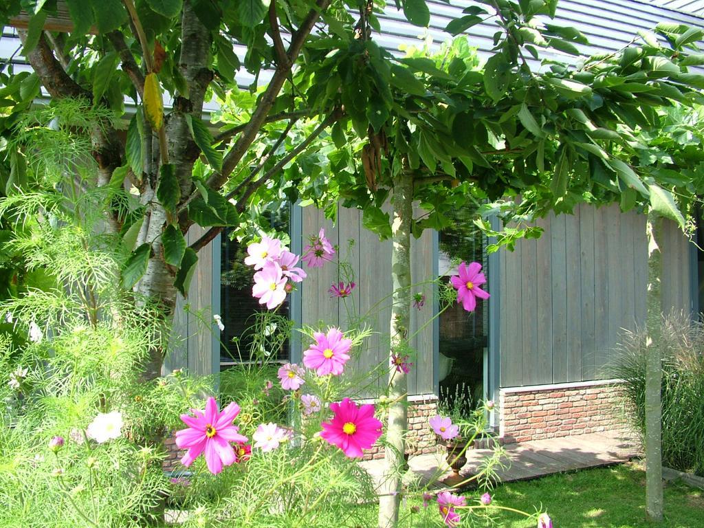 شقة أمستردام  في De Greenhouse المظهر الخارجي الصورة