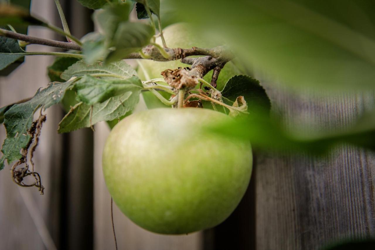 شقة أمستردام  في De Greenhouse المظهر الخارجي الصورة